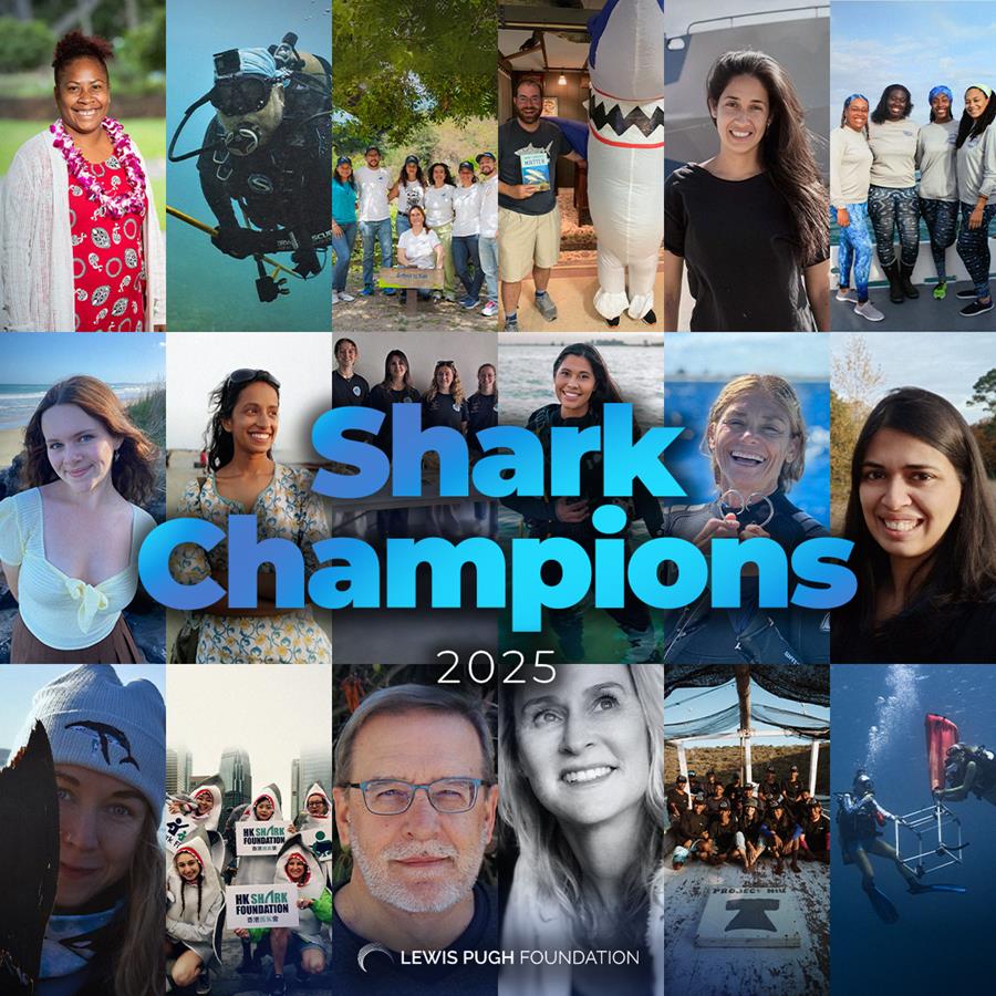 SharkChampionsGraphic