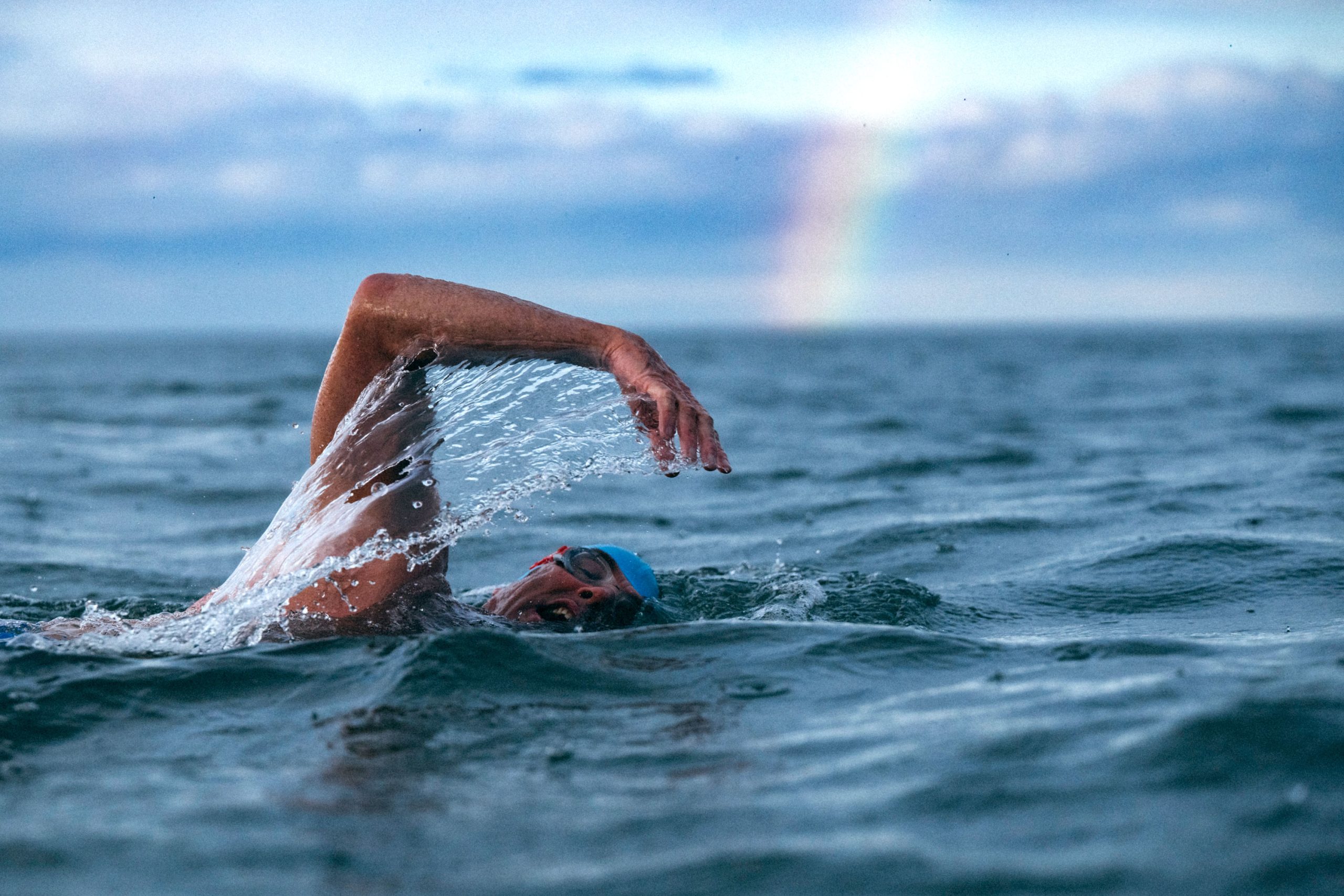 Shark Swim Highlights Ecocide